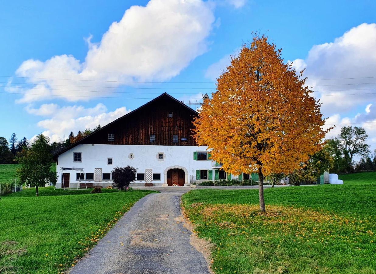 O Valanvron - Appartement Dans Une Ancienne Ferme Neuchateloise La Chaux De Fonds Esterno foto